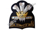 Bullion Blazer Hands Embroidered Scroll Badges
